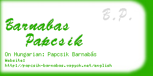 barnabas papcsik business card